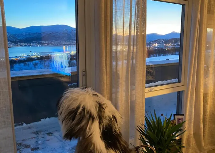 With A View In With 2 Bedrooms Tromsø